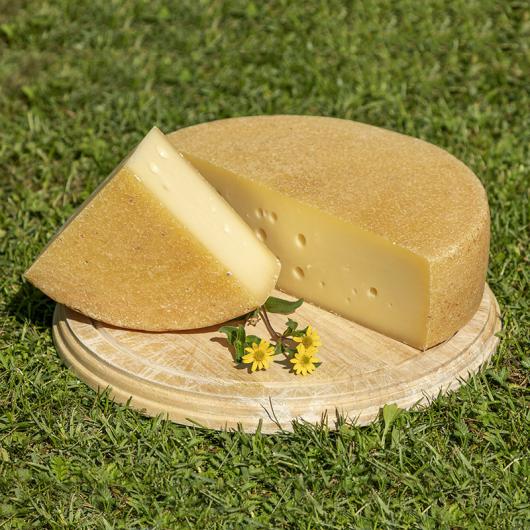 Formaggio da taglio - Steger